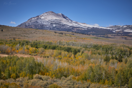 Conway Summit, California