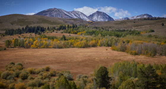 Conway Summit, California