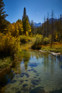 North Fork Bishop Creek, California