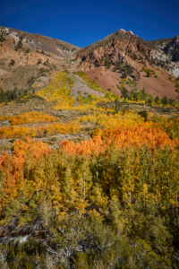 South Fork Bishop Creek, California