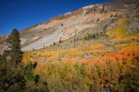 South Fork Bishop Creek, California