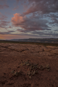 Escalante Wilderness