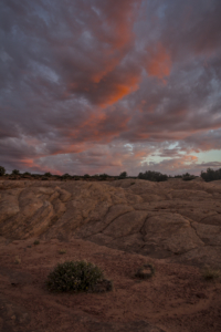 Escalante Wilderness