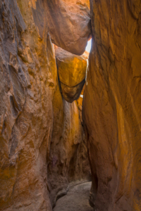 Escalante Wilderness