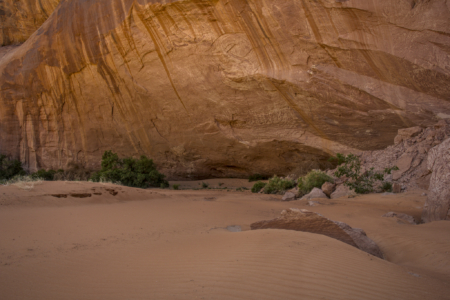 Escalante Wilderness