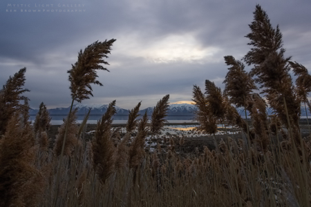 Antelope Island