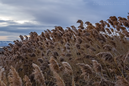 Antelope Island