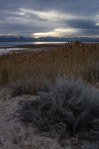 Antelope Island
