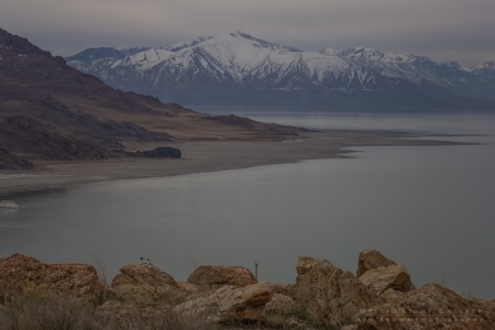 Antelope Island