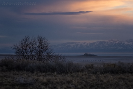 Antelope Island