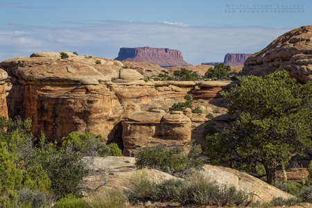 The Needles, Canyonlands NP