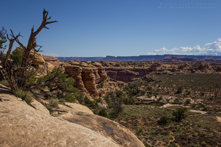 The Needles, Canyonlands NP