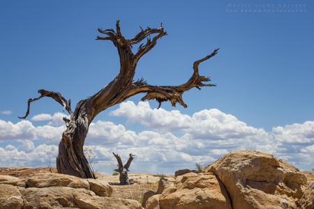 The Needles, Canyonlands NP