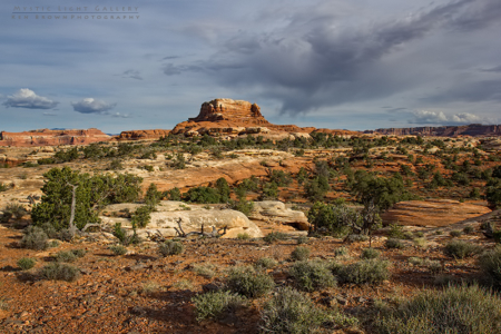 The Needles, Canyonlands NP