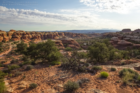 The Needles, Canyonlands NP