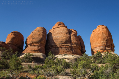 The Needles, Canyonlands NP