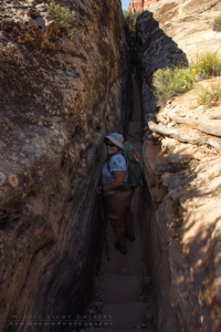The Needles, Canyonlands NP