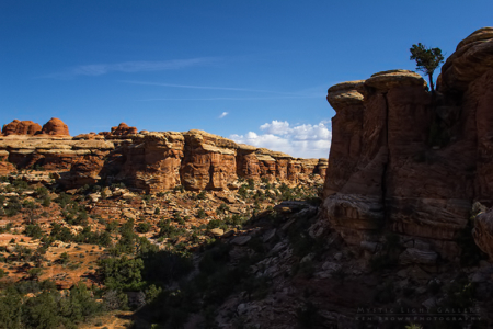 The Needles, Canyonlands NP