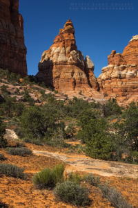 The Needles, Canyonlands NP