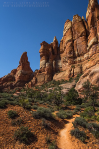 The Needles, Canyonlands NP