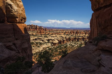 The Needles, Canyonlands NP