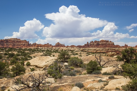 The Needles, Canyonlands NP