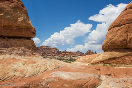 The Needles, Canyonlands NP