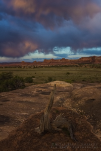 The Needles, Canyonlands NP