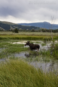 Grand Teton National Park