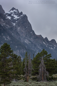 Grand Teton National Park