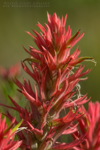 Grand Teton National Park