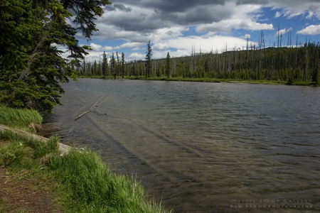 Yellowstone National Park