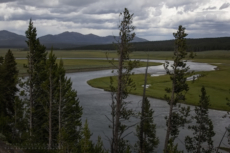 Yellowstone National Park