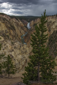Yellowstone National Park