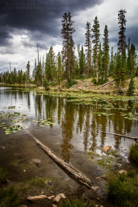 Fall In The Uintas 2016
