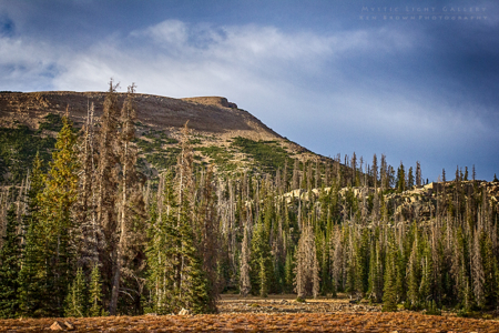 Fall In The Uintas 2016