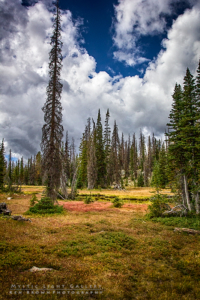 Fall In The Uintas 2016
