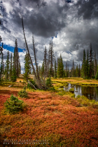 Fall In The Uintas 2016