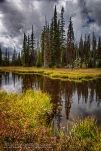 Fall In The Uintas 2016