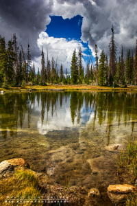 Fall In The Uintas 2016
