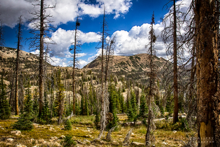 Fall In The Uintas 2016