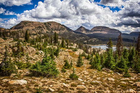 Fall In The Uintas 2016