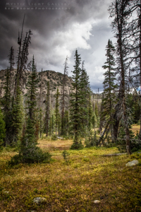 Fall In The Uintas 2016