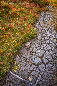 Fall In The Uintas 2016