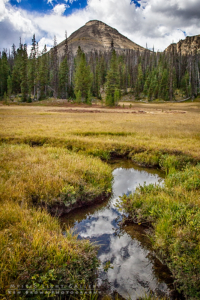 Fall In The Uintas 2016