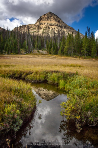 Fall In The Uintas 2016
