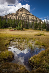 Fall In The Uintas 2016