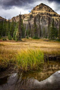 Fall In The Uintas 2016