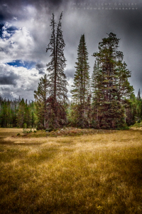 Fall In The Uintas 2016
