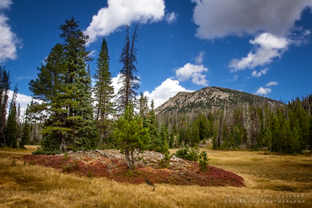 Fall In The Uintas 2016